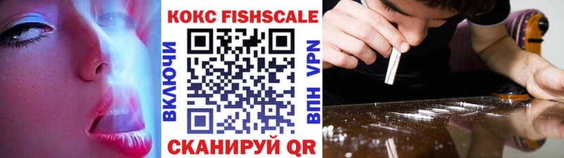Кокаин FishScale  Купить где  Наволоки 